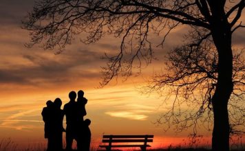 Na samrti mi je majka rekla jezivu tajnu dugu 70 godina: Kad sam otišla kasnije na groblje, utrnula sam od šok prizora Na samrti mi je majka rekla jezivu tajnu dugu 70 godina: Kad sam otišla kasnije na groblje, utrnula sam od šok prizora - featured image