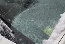 Ova žena godinama nije zatekla zaleđenu šoferšajbnu! Evo šta uradi pa joj trik i KOMŠIJE KRADU Ova žena godinama nije zatekla zaleđenu šoferšajbnu! Evo šta uradi pa joj trik i KOMŠIJE KRADU - featured image