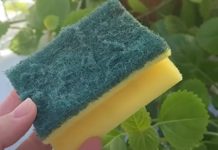 Nikada ne bacajte stari sunđer: Kada vidite čemu služi čuvat ćete ga kao oči u glavi Nikada ne bacajte stari sunđer: Kada vidite čemu služi čuvat ćete ga kao oči u glavi - featured image