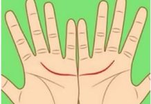 Ove linije na dlanu imaju samo posebni ljudi, nema ih mnogo, iznenadićete se kada čujete šta znače Ove linije na dlanu imaju samo posebni ljudi, nema ih mnogo, iznenadićete se kada čujete šta znače - featured image