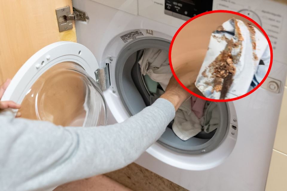 Majstor rastavio veš mašinu pa u njoj pronašao ovo: Evo kakvu štetu joj pravi sredstvo koje svi koriste - featured image Majstor rastavio veš mašinu pa u njoj pronašao ovo: Evo kakvu štetu joj pravi sredstvo koje svi koriste - featured image