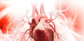 Ljudi misle da im je pao pritisak, a ustvari srce je stalo na trenutak: Srpski kardiolog otkrio šta prvo da uradite kad preskače i lupa Ljudi misle da im je pao pritisak, a ustvari srce je stalo na trenutak: Srpski kardiolog otkrio šta prvo da uradite kad preskače i lupa - featured image