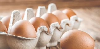 10 namirnica bogatih kolagenom koje biste trebali konzumirati svakodnevno za zdravlje kostiju i mladolik izgled 10 namirnica bogatih kolagenom koje biste trebali konzumirati svakodnevno za zdravlje kostiju i mladolik izgled - featured image