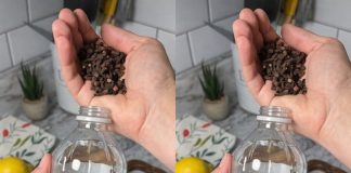 Uzmite čašu sirćeta, običnih karanfilića i dobro sačuvajte ovaj domaći trik: KORISTIM GA GODINAMA I PREPORUČUJEM SVIMA! Uzmite čašu sirćeta, običnih karanfilića i dobro sačuvajte ovaj domaći trik: KORISTIM GA GODINAMA I PREPORUČUJEM SVIMA! - featured image