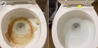 Nije sirće ni soda bikarbona: Ovo sredstvo najbolje uklanja kamenac u WC šolji Nije sirće ni soda bikarbona: Ovo sredstvo najbolje uklanja kamenac u WC šolji - featured image