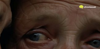 Kada vas djeca ne poštuju i ignoriraju: Nemojte se ljutiti, poduzmite ovih 6 koraka Kada vas djeca ne poštuju i ignoriraju: Nemojte se ljutiti, poduzmite ovih 6 koraka - featured image