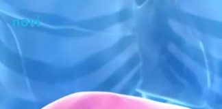 Hepatolog tvrdi da jedno voće obnavlja jetru za 7 dana, a sve zbog ovog enzima Hepatolog tvrdi da jedno voće obnavlja jetru za 7 dana, a sve zbog ovog enzima - featured image