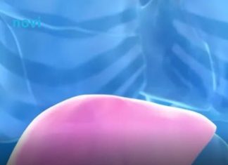 Hepatolog tvrdi da jedno voće obnavlja jetru za 7 dana, a sve zbog ovog enzima Hepatolog tvrdi da jedno voće obnavlja jetru za 7 dana, a sve zbog ovog enzima - featured image