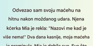 Biljka i tajna nasledstva Biljka i tajna nasledstva - featured image