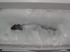 Ako vam se u frižideru gomila led, ubacite samo jednu namirnicu i problem će biti RIJEŠEN Ako vam se u frižideru gomila led, ubacite samo jednu namirnicu i problem će biti RIJEŠEN - featured image