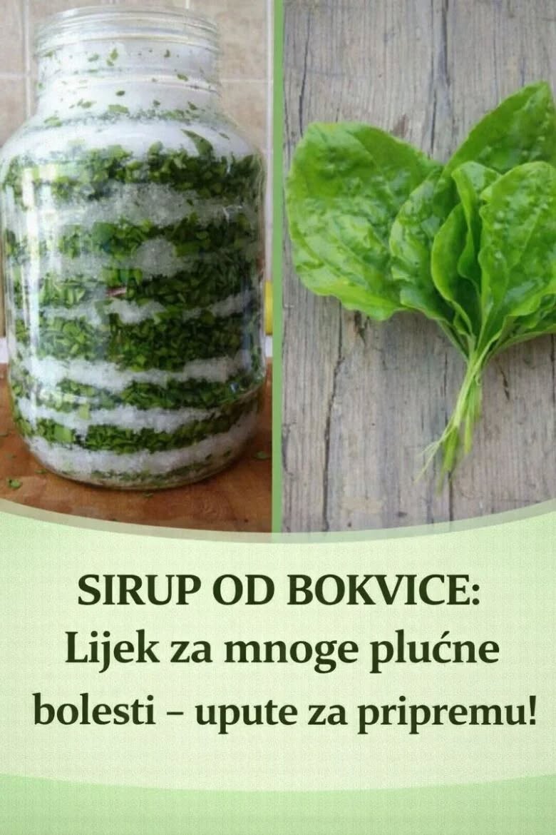Sirup od bokvice – prirodni lijek za pluća, kašalj i sluz u disajnim putevima - featured image Sirup od bokvice – prirodni lijek za pluća, kašalj i sluz u disajnim putevima - featured image