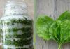 Sirup od bokvice za pluća, kašalj i sluz u disajnim putevima Sirup od bokvice za pluća, kašalj i sluz u disajnim putevima - featured image