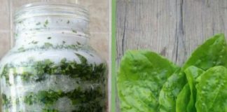 Sirup od bokvice za pluća, kašalj i sluz u disajnim putevima Sirup od bokvice za pluća, kašalj i sluz u disajnim putevima - featured image