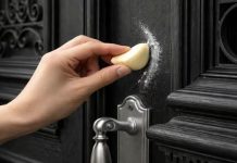 Premazao sam vrata češnjakom. OVO djeluje danima! Premazao sam vrata češnjakom. OVO djeluje danima! - featured image