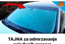 TAJNA za odmrzavanje zaleđenih prozora automobila u SEKUNDI…. TAJNA za odmrzavanje zaleđenih prozora automobila u SEKUNDI…. - featured image