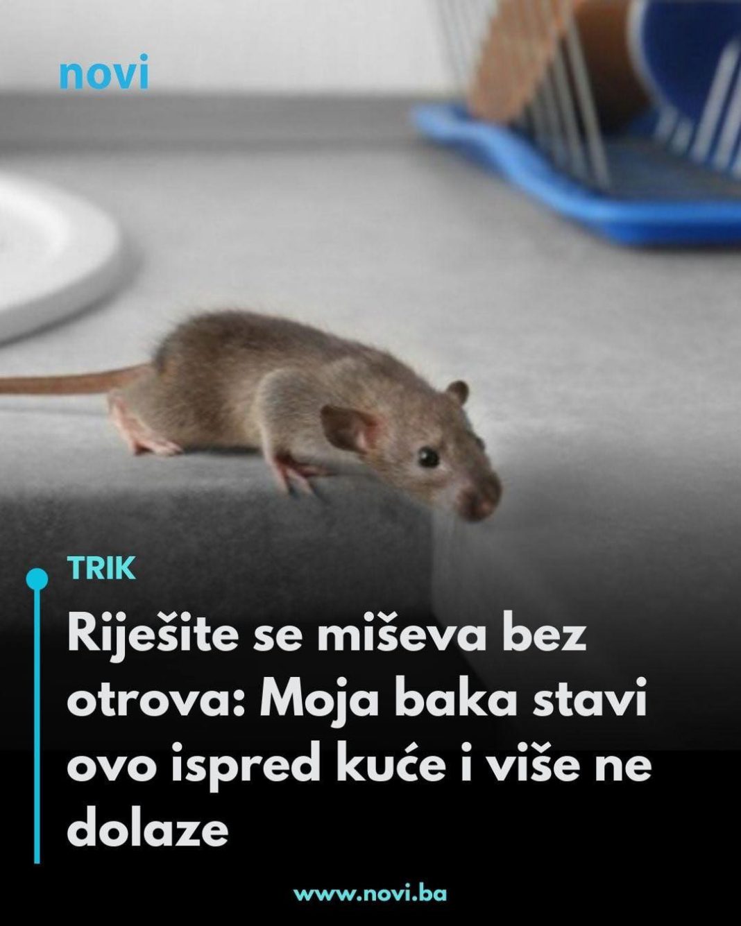 Riješite se miševa bez otrova: Moja baka stavi ovo ispred kuće i više ne dolaze - featured image Riješite se miševa bez otrova: Moja baka stavi ovo ispred kuće i više ne dolaze - featured image