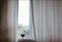 Stavite cimet na prozore, stručnjaci tvrde da je razlog i više nego dobar Stavite cimet na prozore, stručnjaci tvrde da je razlog i više nego dobar - featured image