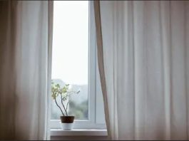 Stavite cimet na prozore, stručnjaci tvrde da je razlog i više nego dobar Stavite cimet na prozore, stručnjaci tvrde da je razlog i više nego dobar - featured image