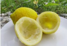 Uzmite koru od limuna i samo uradite ovo: Sudovi će biti blistavi kao nikad pre Uzmite koru od limuna i samo uradite ovo: Sudovi će biti blistavi kao nikad pre - featured image