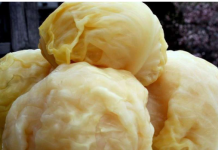 Kiseli kupus može da traje do ljeta, samo dodajte ovaj sastojak