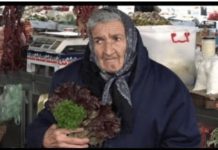 KAD TELO POČNE DA PROPADA Baka sa pijace dala nam je recept “spasa” od 2 sastojka, koji vraća čelično zdravlje… KAD TELO POČNE DA PROPADA Baka sa pijace dala nam je recept “spasa” od 2 sastojka, koji vraća čelično zdravlje… - featured image