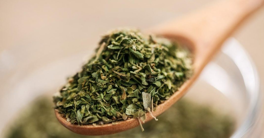 Najmoćnija biljka koja uništava parazite, infekcije mokraćnog sustava i mjehura, herpes i viruse gripe - featured image