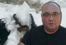 Zmije ispuzale usred zime! Vjeruje se da OVO nije dobar znak, a poznati zmijolovac upozorava – Dobro obratite pažnju na ovo! Zmije ispuzale usred zime! Vjeruje se da OVO nije dobar znak, a poznati zmijolovac upozorava – Dobro obratite pažnju na ovo! - featured image