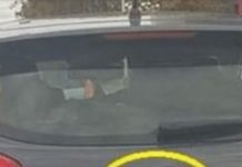 D0DA0 JE 2 slova uz marku svog auta i nasmejao ceo Balkan do suza… (foto) D0DA0 JE 2 slova uz marku svog auta i nasmejao ceo Balkan do suza… (foto) - featured image