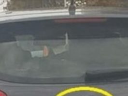 D0DA0 JE 2 slova uz marku svog auta i nasmejao ceo Balkan do suza… (foto) D0DA0 JE 2 slova uz marku svog auta i nasmejao ceo Balkan do suza… (foto) - featured image