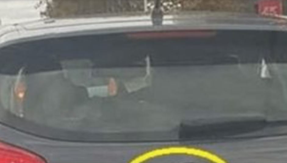 D0DA0 JE 2 slova uz marku svog auta i nasmejao ceo Balkan do suza… (foto) - featured image D0DA0 JE 2 slova uz marku svog auta i nasmejao ceo Balkan do suza… (foto) - featured image