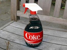 UZMITE ČAŠU COCA-E, OBIČNE SODE BIKARBONE I SAČUVAJTE OVAJ DOMAĆI TRIK: KORISTIM GA GODINAMA I PREPORUČUJEM SVIMA UZMITE ČAŠU COCA-E, OBIČNE SODE BIKARBONE I SAČUVAJTE OVAJ DOMAĆI TRIK: KORISTIM GA GODINAMA I PREPORUČUJEM SVIMA - featured image