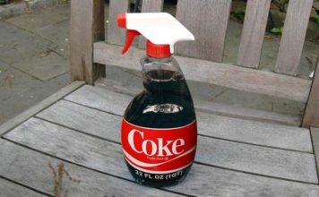 UZMITE ČAŠU COCA-E, OBIČNE SODE BIKARBONE I SAČUVAJTE OVAJ DOMAĆI TRIK: KORISTIM GA GODINAMA I PREPORUČUJEM SVIMA UZMITE ČAŠU COCA-E, OBIČNE SODE BIKARBONE I SAČUVAJTE OVAJ DOMAĆI TRIK: KORISTIM GA GODINAMA I PREPORUČUJEM SVIMA - featured image