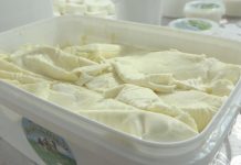 Kardiolog otkrio koja vrsta sira je najgora za srce! Ako ovo pojedete, možete dobiti MOŽDANI UDAR Kardiolog otkrio koja vrsta sira je najgora za srce! Ako ovo pojedete, možete dobiti MOŽDANI UDAR - featured image