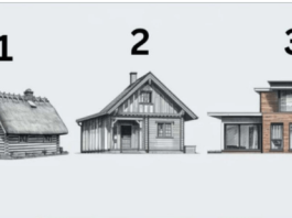 TEST! U KOJOJ KUĆI BISTE ŽIVJELI? Evo šta to govori o vama, OPREZ-SVIMA JE POGODILO!