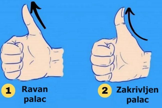 Pogledajte svoj palac, jer njegov oblik otkriva ključne osobine vaše ličnosti - featured image Pogledajte svoj palac, jer njegov oblik otkriva ključne osobine vaše ličnosti - featured image