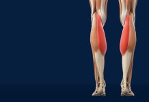 Slabost u nogama i gubitak snage često nemaju veze s godinama, nego s tanjurom. Postoji 6 namirnica koje čuvaju mišiće i pokretljivost. Provjerite da li ih jedete Slabost u nogama i gubitak snage često nemaju veze s godinama, nego s tanjurom. Postoji 6 namirnica koje čuvaju mišiće i pokretljivost. Provjerite da li ih jedete - featured image