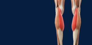 Slabost u nogama i gubitak snage često nemaju veze s godinama, nego s tanjurom. Postoji 6 namirnica koje čuvaju mišiće i pokretljivost. Provjerite da li ih jedete Slabost u nogama i gubitak snage često nemaju veze s godinama, nego s tanjurom. Postoji 6 namirnica koje čuvaju mišiće i pokretljivost. Provjerite da li ih jedete - featured image