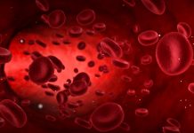 RECEPT ZA KRVNU SLIKU: Jedan možda od najboljih koje nudi narodna medicina… RECEPT ZA KRVNU SLIKU: Jedan možda od najboljih koje nudi narodna medicina… - featured image