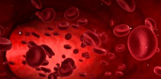 RECEPT ZA KRVNU SLIKU: Jedan možda od najboljih koje nudi narodna medicina… RECEPT ZA KRVNU SLIKU: Jedan možda od najboljih koje nudi narodna medicina… - featured image