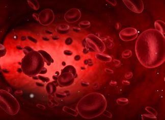 RECEPT ZA KRVNU SLIKU: Jedan možda od najboljih koje nudi narodna medicina… RECEPT ZA KRVNU SLIKU: Jedan možda od najboljih koje nudi narodna medicina… - featured image