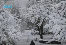 Bh. meteorolozi: Vraćaju se zima i snijeg, evo i kada Bh. meteorolozi: Vraćaju se zima i snijeg, evo i kada - featured image