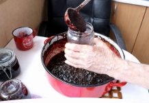 Prirodni voćni namaz koji može podržati zdravu probavu Prirodni voćni namaz koji može podržati zdravu probavu - featured image