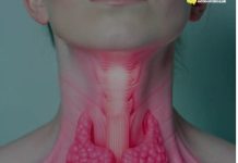 Manje jedite ove namirnice: Štitnjača će vam biti zdravija Manje jedite ove namirnice: Štitnjača će vam biti zdravija - featured image