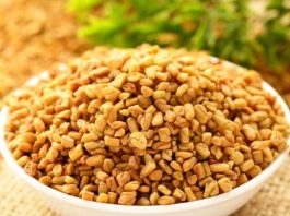 Ovu biljku skoro niko ne jede u Srbiji, a u njoj se krije pravo blago, čini čuda za organizam: Endokrinolog otkriva sve njene blagodeti Ovu biljku skoro niko ne jede u Srbiji, a u njoj se krije pravo blago, čini čuda za organizam: Endokrinolog otkriva sve njene blagodeti - featured image