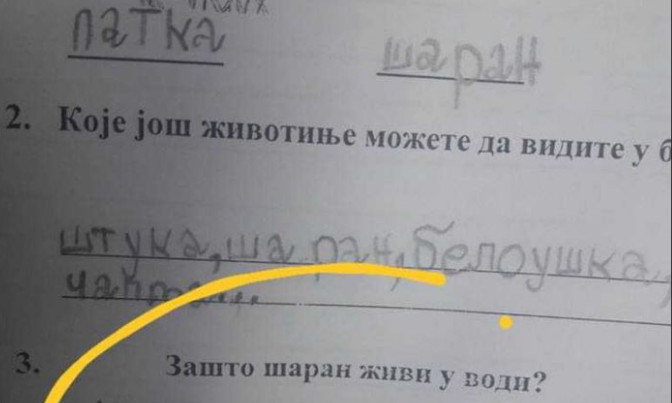 Na pitanje “zašto šaran živi u vodi” đak prvak dao URNEBESAN ODGOVOR: Kad malo bolje razmislite, zapravo je GENIJALAN - featured image Na pitanje “zašto šaran živi u vodi” đak prvak dao URNEBESAN ODGOVOR: Kad malo bolje razmislite, zapravo je GENIJALAN - featured image