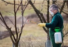 OVIM prskajte VOĆKE već u februaru: NIJEDNA gljivica ili ŠTETOČINA neće imati šanse! OVIM prskajte VOĆKE već u februaru: NIJEDNA gljivica ili ŠTETOČINA neće imati šanse! - featured image