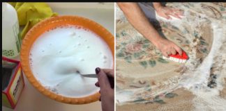 Odličan kućni trik za čišćenje TEPIHA: Samo ga jednom protrljajte i prljavština, mirisi i stare mrlje će nestati! Odličan kućni trik za čišćenje TEPIHA: Samo ga jednom protrljajte i prljavština, mirisi i stare mrlje će nestati! - featured image