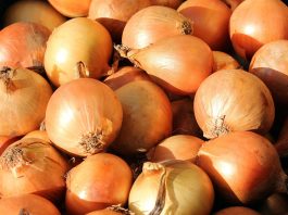 MOŽE IZAZVATI TROVANJE: Ako ovo primjetite na luku, obavezno ga bacite MOŽE IZAZVATI TROVANJE: Ako ovo primjetite na luku, obavezno ga bacite - featured image