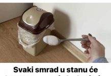 Svaki smrad u stanu će ODMAH nestati ako koristite ovaj jednostavan TRIK! Svaki smrad u stanu će ODMAH nestati ako koristite ovaj jednostavan TRIK! - featured image