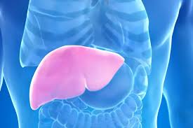 Hepatolog tvrdi da jedno voće obnavlja jetru za 7 dana, a sve zbog ovog enzima - featured image Hepatolog tvrdi da jedno voće obnavlja jetru za 7 dana, a sve zbog ovog enzima - featured image